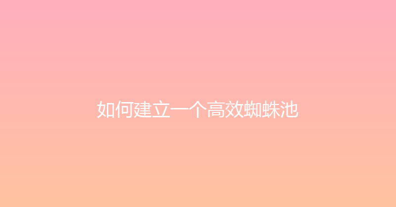 如何建立一个高效蜘蛛池 封面图
