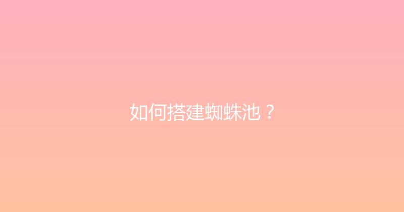 如何搭建蜘蛛池？ 封面图