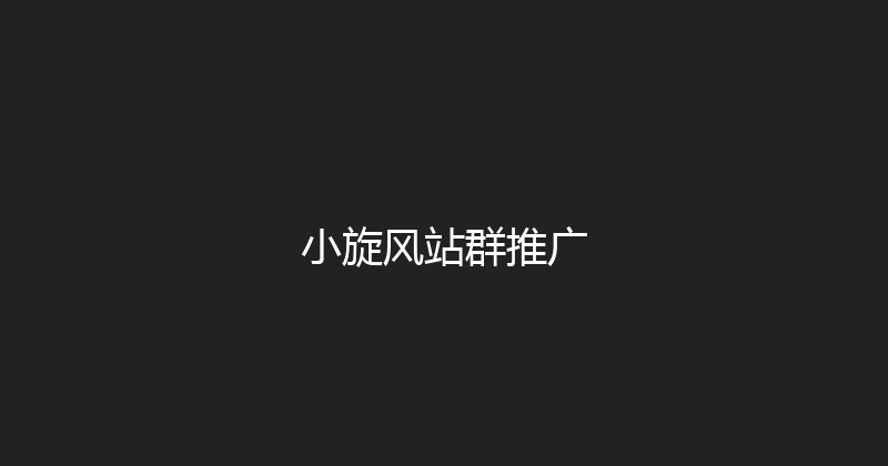 小旋风站群推广 封面图
