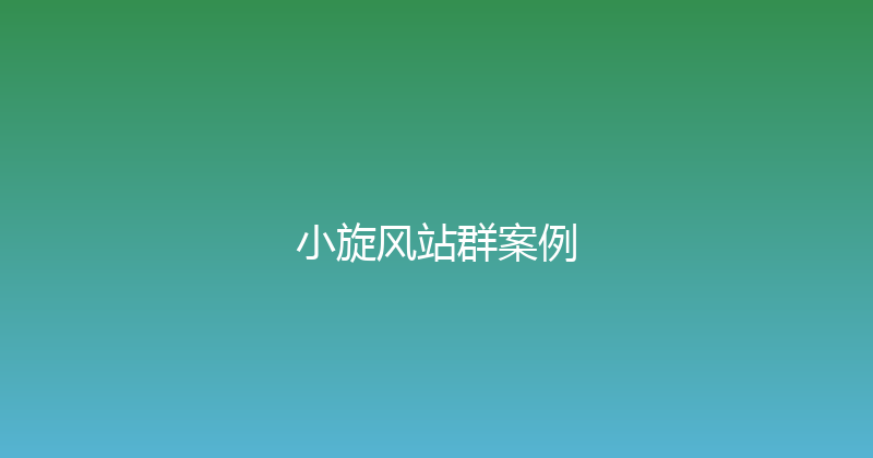 小旋风站群案例 封面图