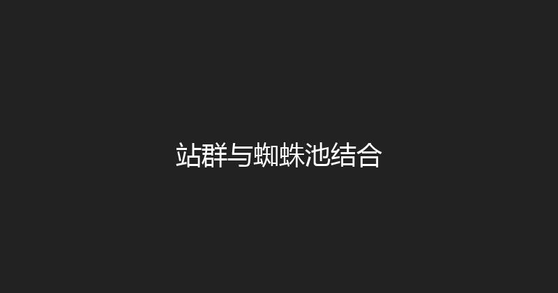 站群与蜘蛛池结合 封面图