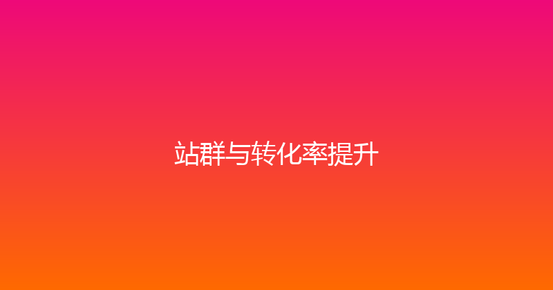 站群与转化率提升 封面图