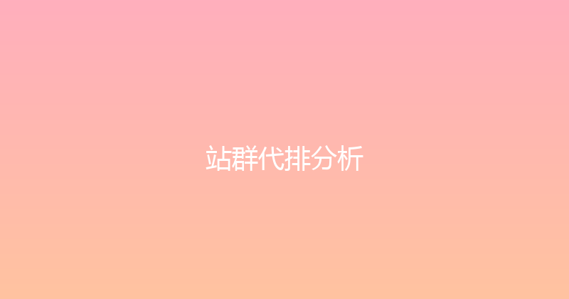 站群代排分析 封面图
