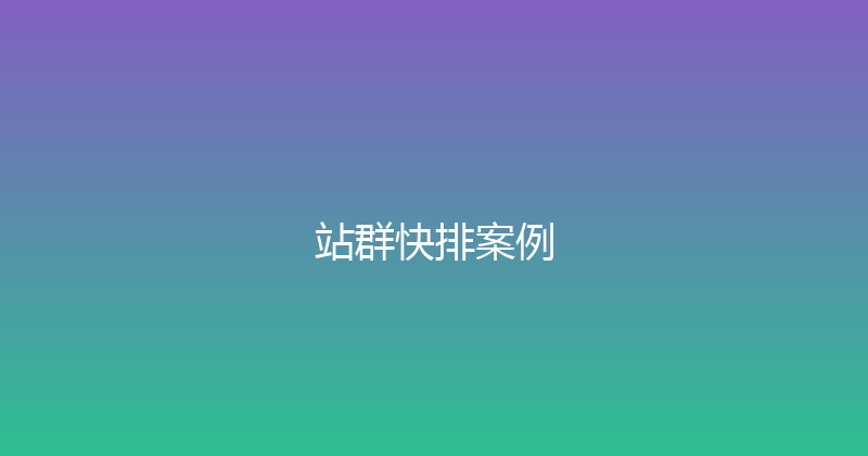 站群快排案例 封面图