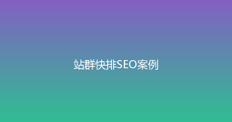 站群快排SEO案例 封面图