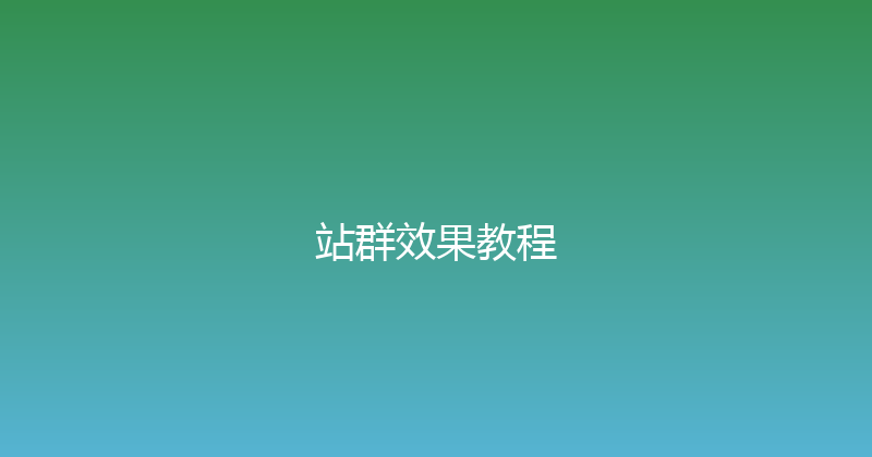站群效果教程 封面图