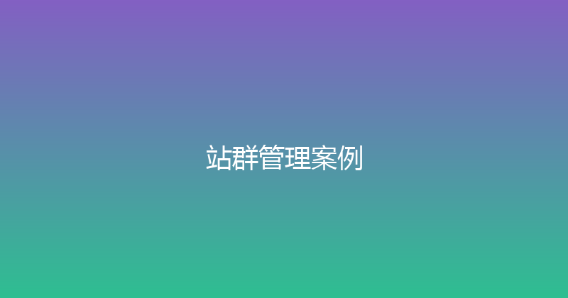 站群管理案例 封面图