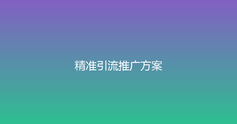 精准引流推广方案 封面图