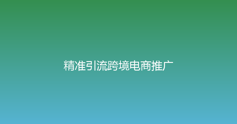精准引流跨境电商推广 封面图