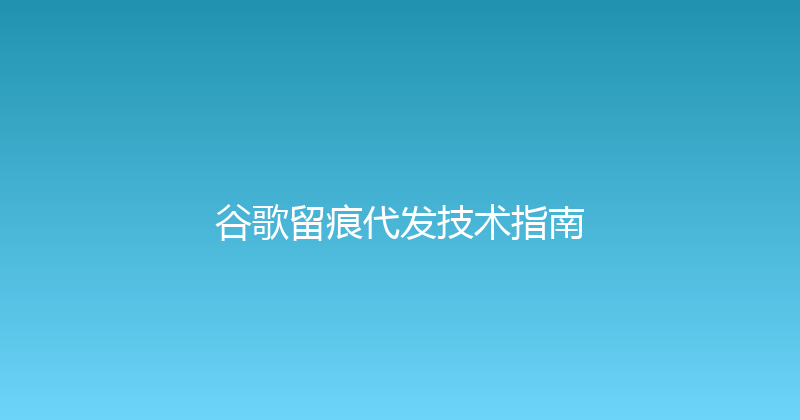 谷歌留痕代发技术指南 封面图