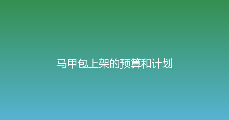 马甲包上架的预算和计划 封面图