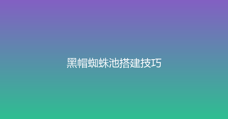 黑帽蜘蛛池搭建技巧 封面图