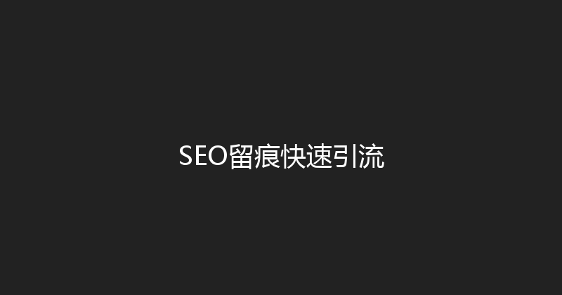 SEO留痕快速引流 封面图