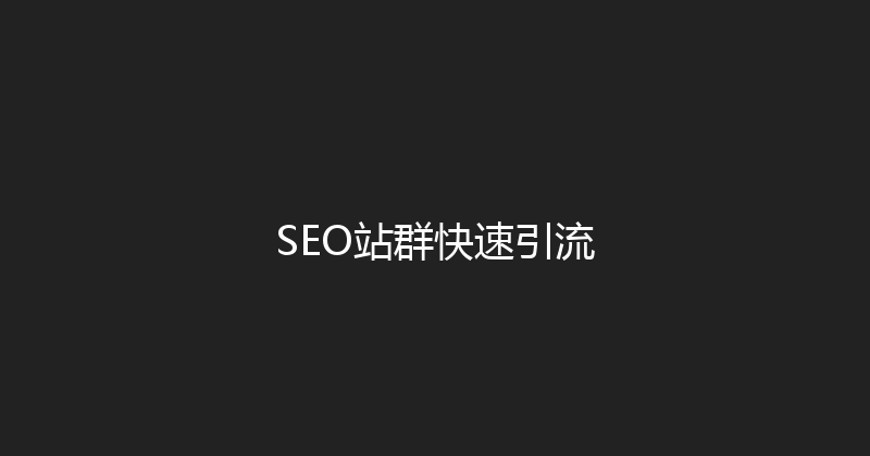 SEO站群快速引流 封面图